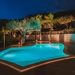 Teresa Villa *